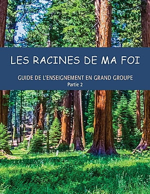 Guide de l'enseignement en grand groupe, partie 2