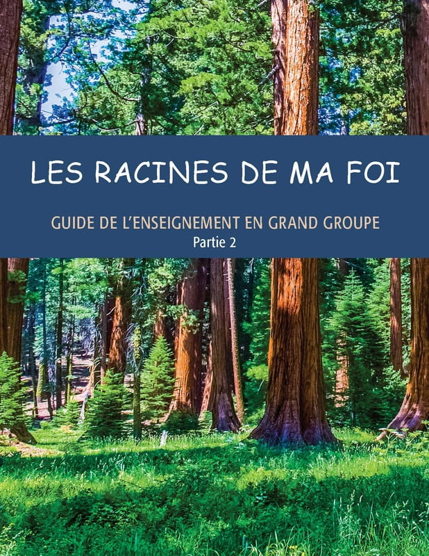 Guide de l'enseignement en grand groupe, partie 2