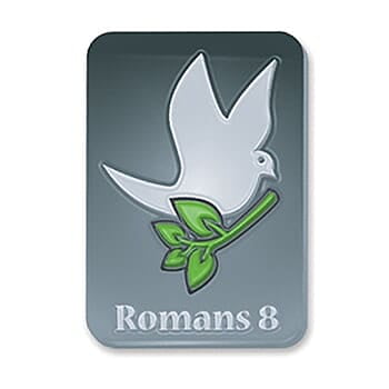 Romans 8:28-39 Verse Memory Pin